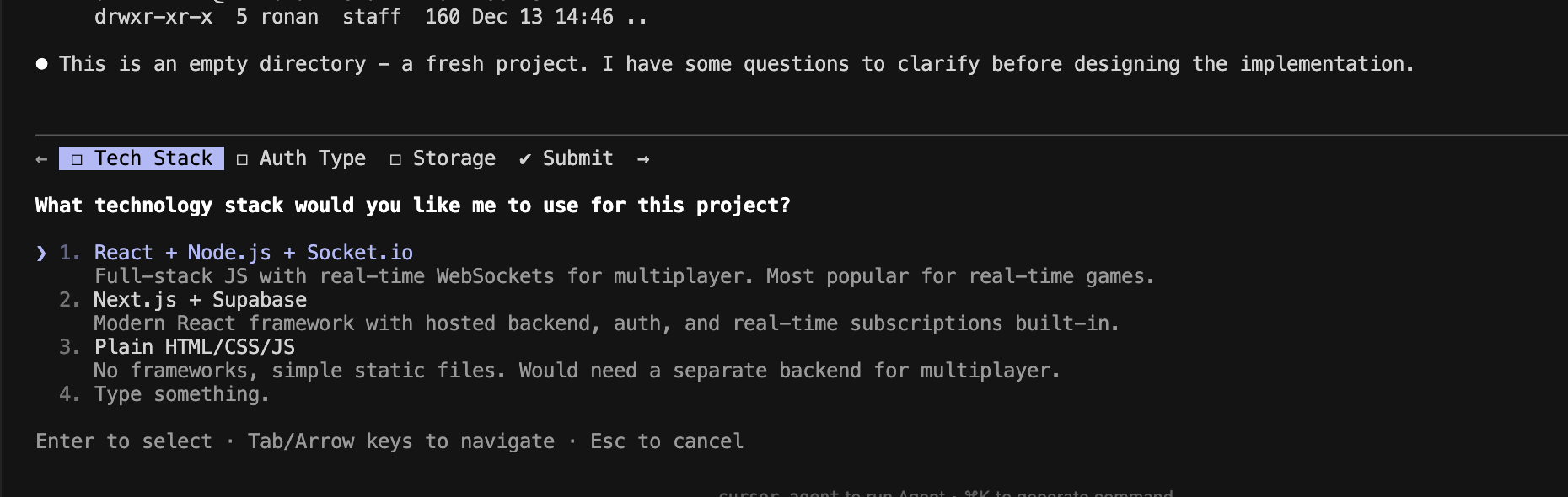 Claude Code's interactive setup